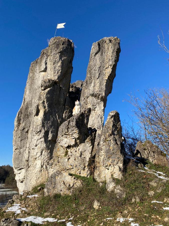 Gasthof Zur Sagemuhle Apartamento Hiltpoltstein Exterior foto